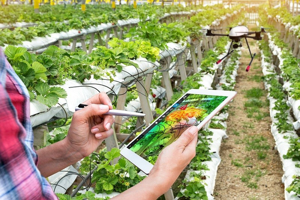 The Road to Smart Agriculture in China 中以智慧农业之路活动回顾